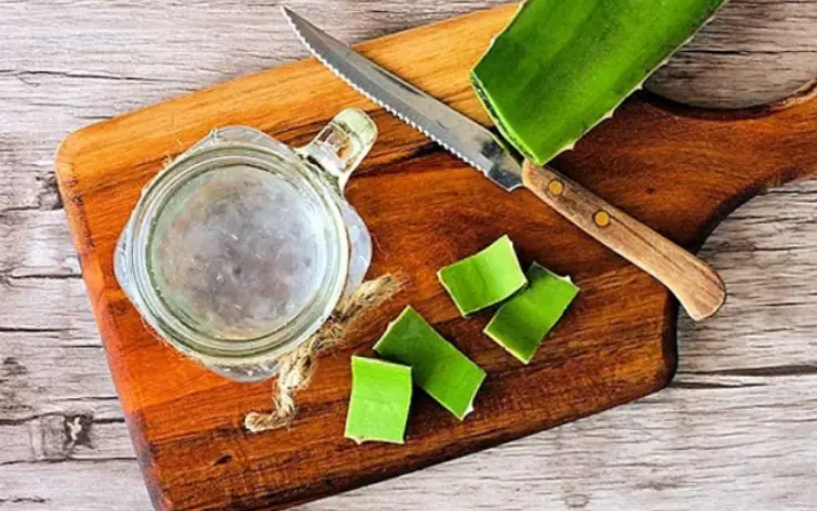 Aloe Vera: The Knight In Shining Armour! | Skin Decor